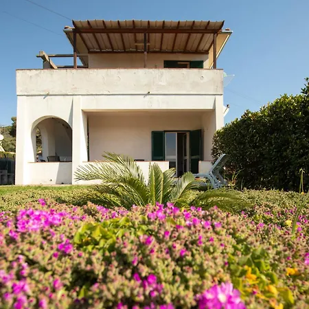 Mare - Helloelba * Lacona