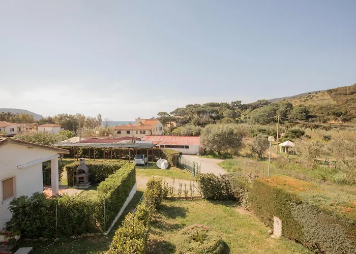 Mare - Helloelba Lacona